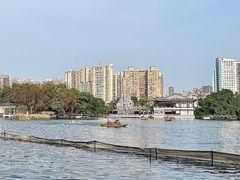 -荔湾湖公园