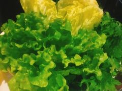 -海底捞火锅(高科广场店)
