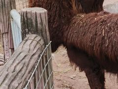 -重庆动物园·东二门售票处