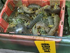 -寻味顺德·南记酒家·传统顺德菜·鱼生(广源路店)