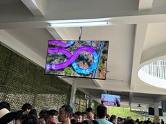-盈香心动乐园