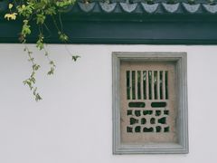 -普洱茶府(博乐广场店)