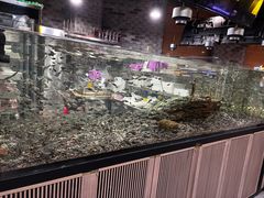 -常赢三兄弟·清真涮肉·清真炒菜(朝阳新城店)