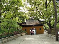 -灵岩山风景区