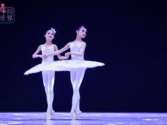 -西安小天鹅艺术团(曲江Alice店)