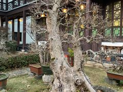-木子山庄·安徽省老字号·中国炖锅宴