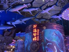 -烟台海昌鲸鲨海洋公园
