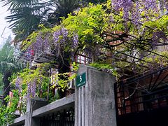 -上海鲁迅故居