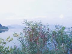 -千岛湖石林