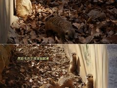 -杭州少年儿童公园