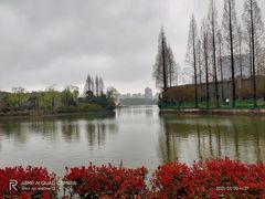 -黄兴公园