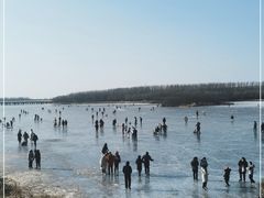 -丁香湖公园