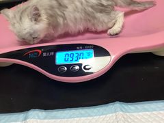 -安安宠医宠物医院·异宠·犬猫内科(岳阳分院)