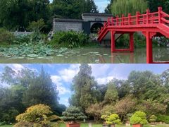 -盆景园(扬州大运河文化旅游度假区)