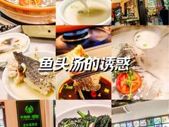 -全乐鱼馆·淳牌有机鱼直营店