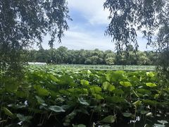 -长春市南湖公园