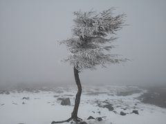 -灵山