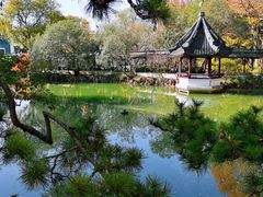 -上海醉白池公园