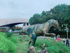 -自贡恐龙博物馆