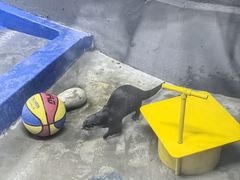 -太平洋海底世界