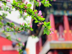 -故宫博物院(故宫)