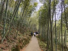 -千泷沟大瀑布旅游区
