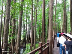 -东湖落雁景区