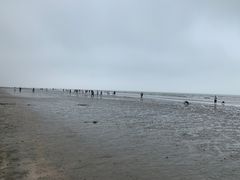 -江山半岛白浪滩景区