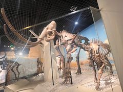 -国家自然博物馆