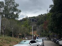 -金鸡山公园