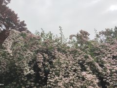 -经纬广场