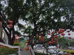 -盆满钵满·国家非遗传承(云台店)