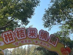 -前小桔亲子创意农场·草莓采摘·露营烧烤