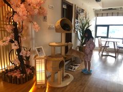 -猫小主咖啡·猫咖cat cafe(福田店)