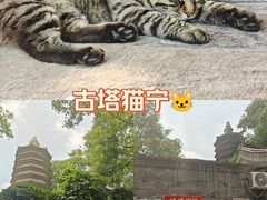 -正阳书局(西四南大街店)