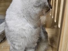 -艺味深尝(云锦路店)