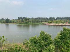 景点-东郊湿地公园
