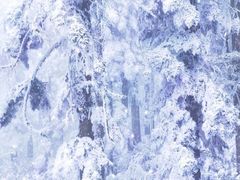 -瓦屋山景区