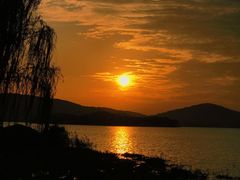 -长广溪湿地公园