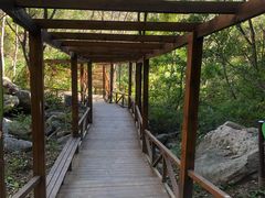 -大岭沟猕猴桃谷风景区
