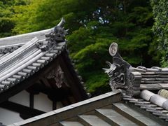 -奈良公园