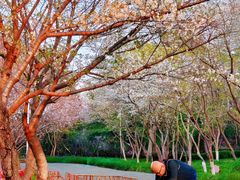 -白塘生态植物园