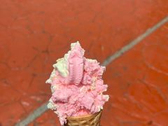 -杭州野生动物世界