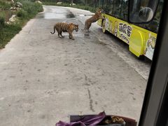 -西安秦岭野生动物园