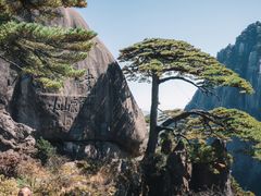 -黄山风景区