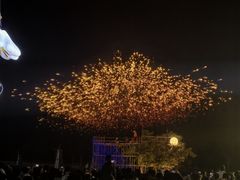 -南宁花花大世界景区