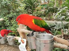 -南宫五洲植物乐园