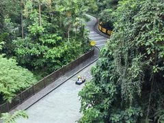 -圣淘沙天际线斜坡滑车
