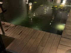 -觀芷隐轩