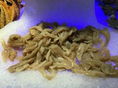 -甄品麦哲伦海鲜和牛自助(万达广场店)